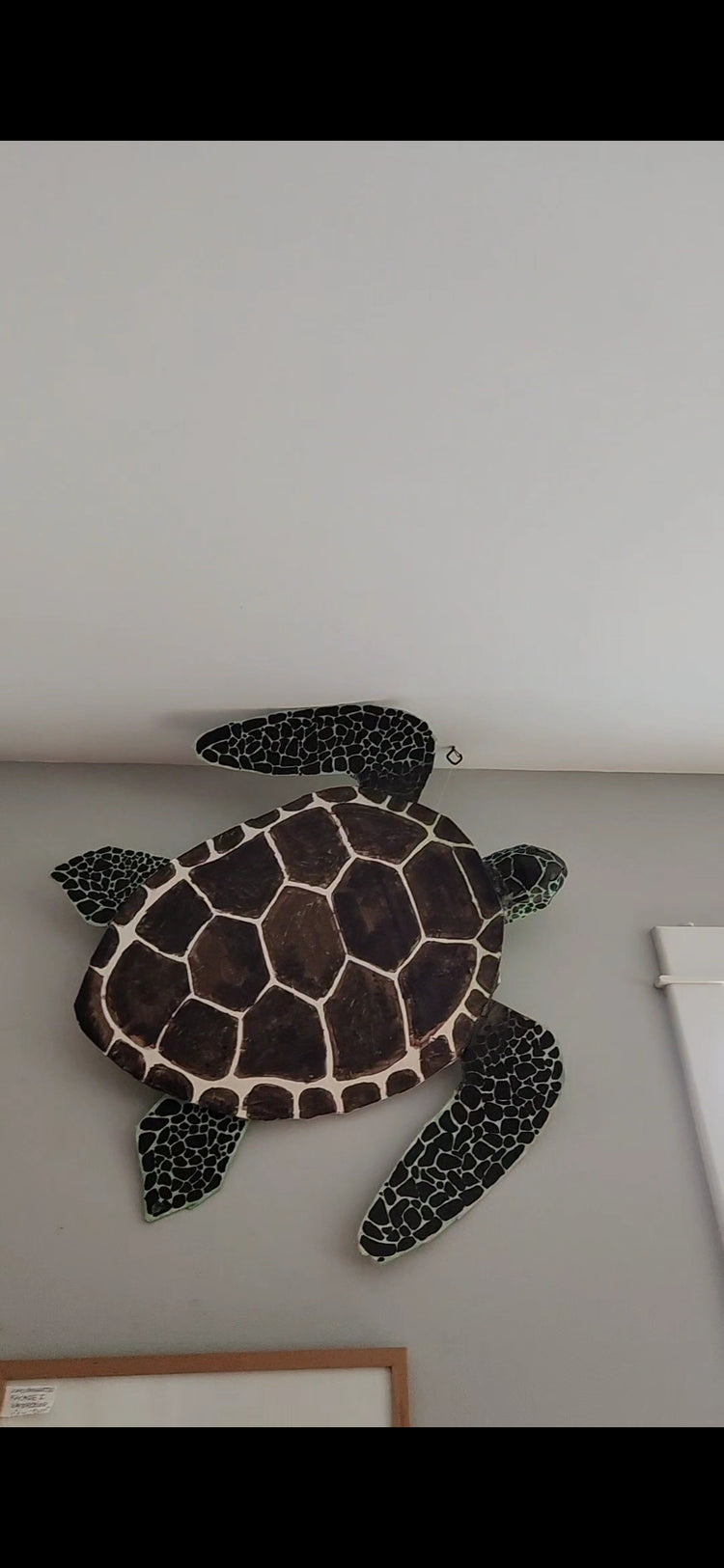 Ocean mache- sea turtle by Abigayle Hopkins