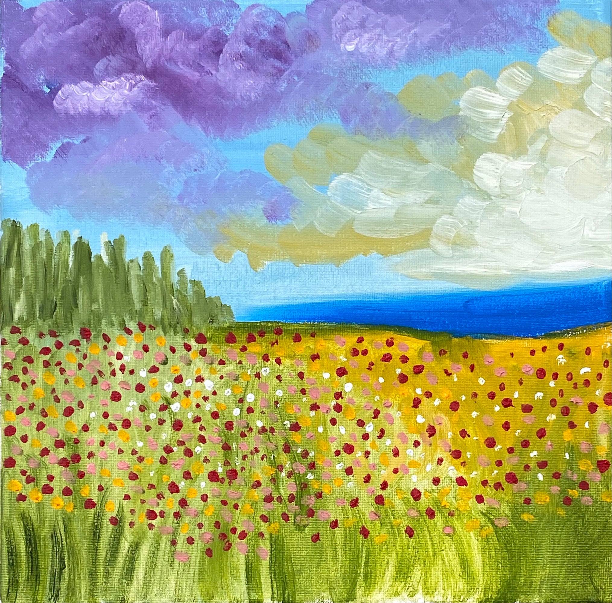 Field of Flowers