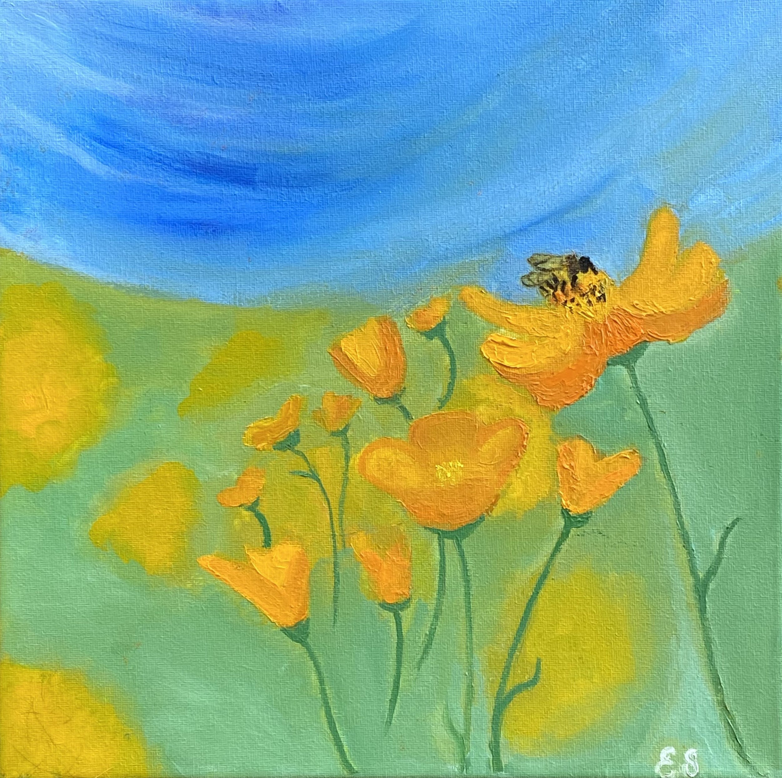 Fields of Poppies