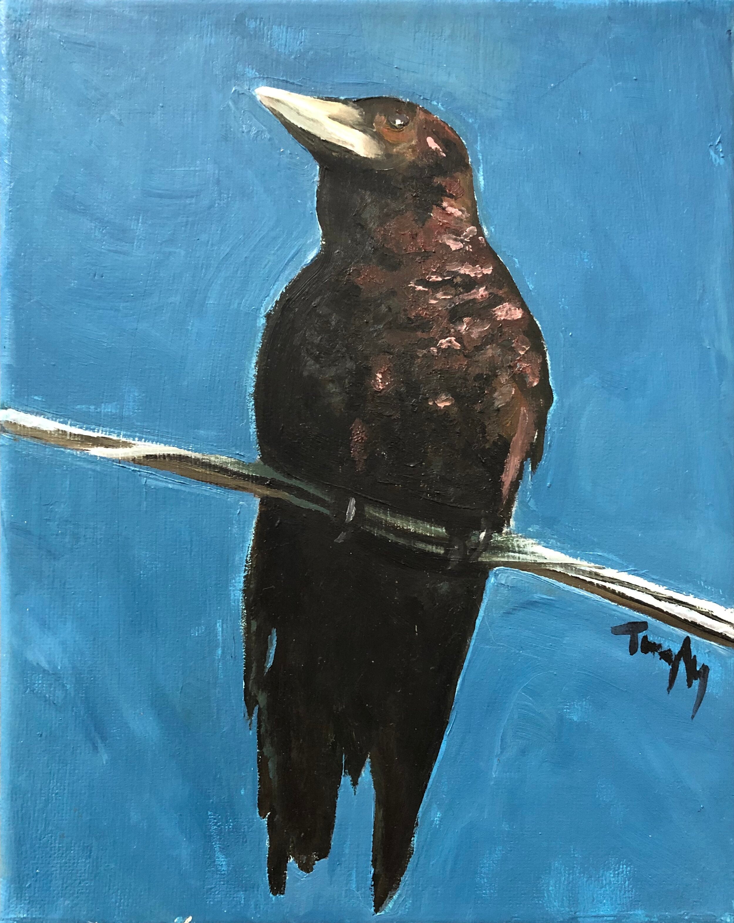 Crow on Wire
