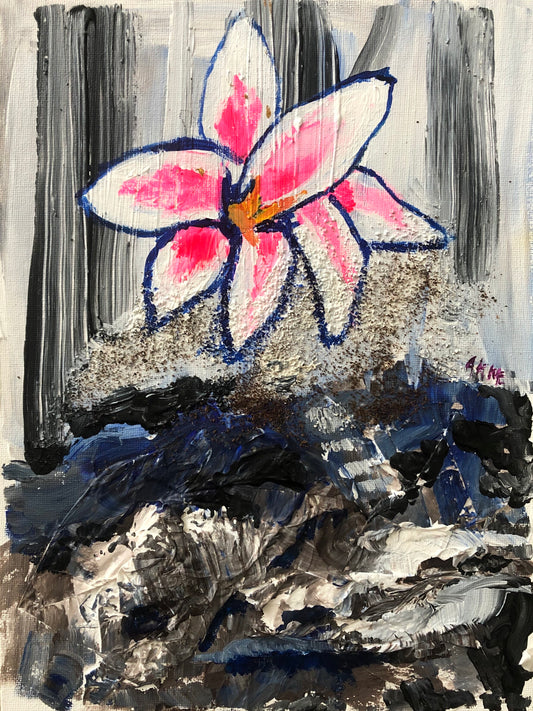 Water Lily