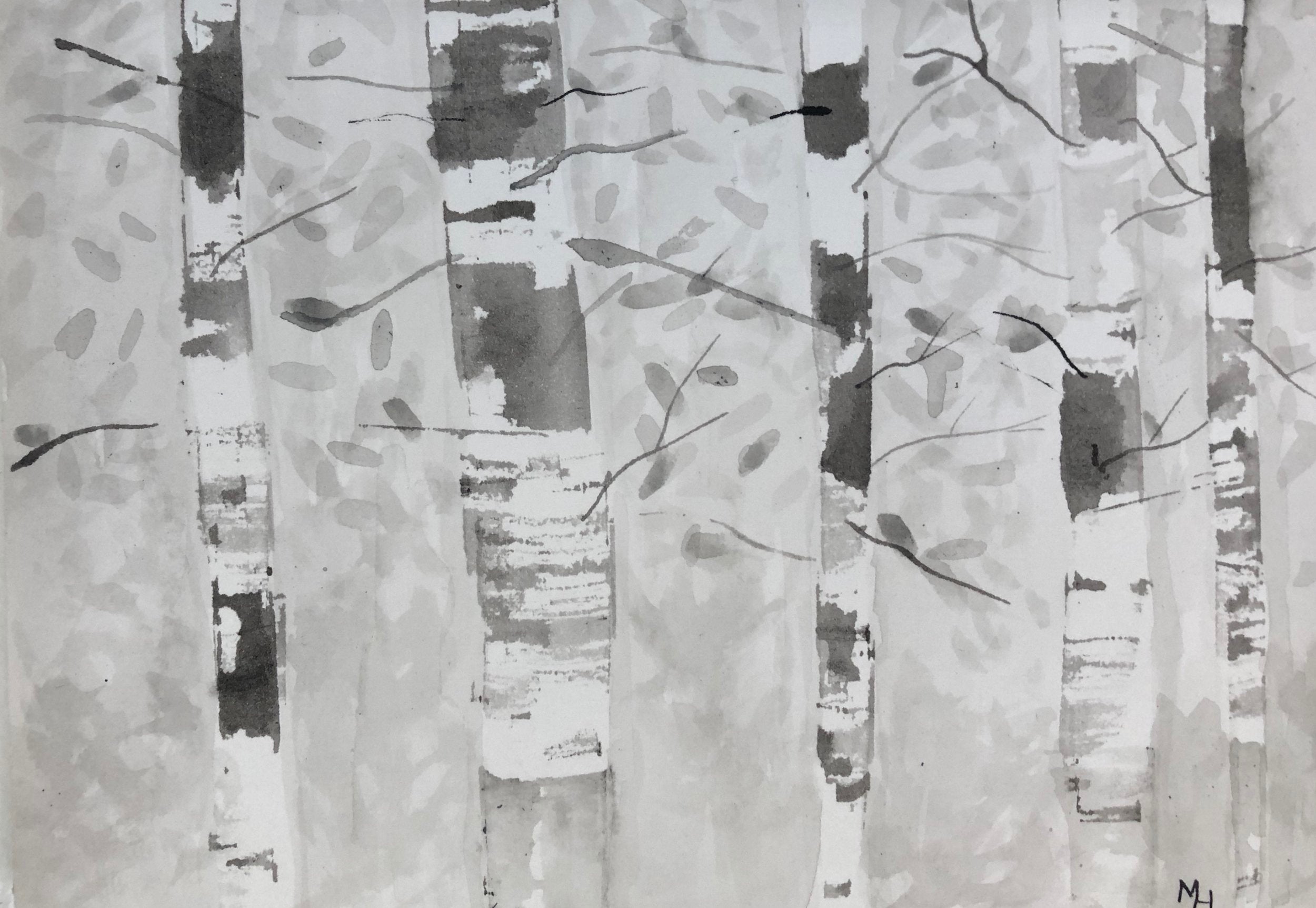 Birch Trees