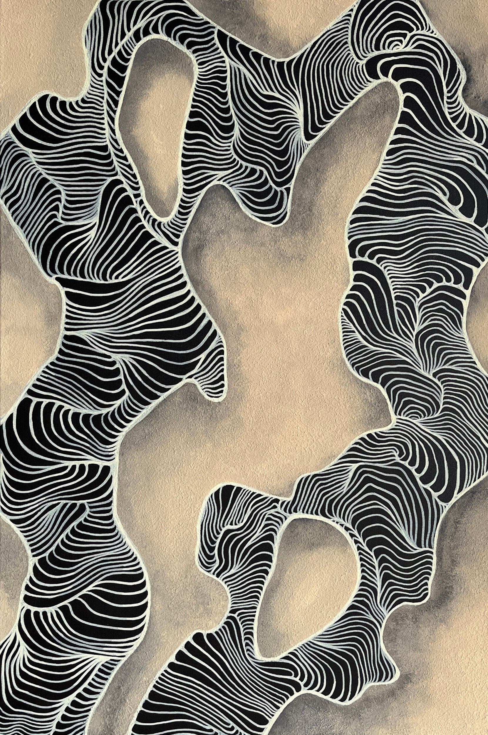 Untitled 2