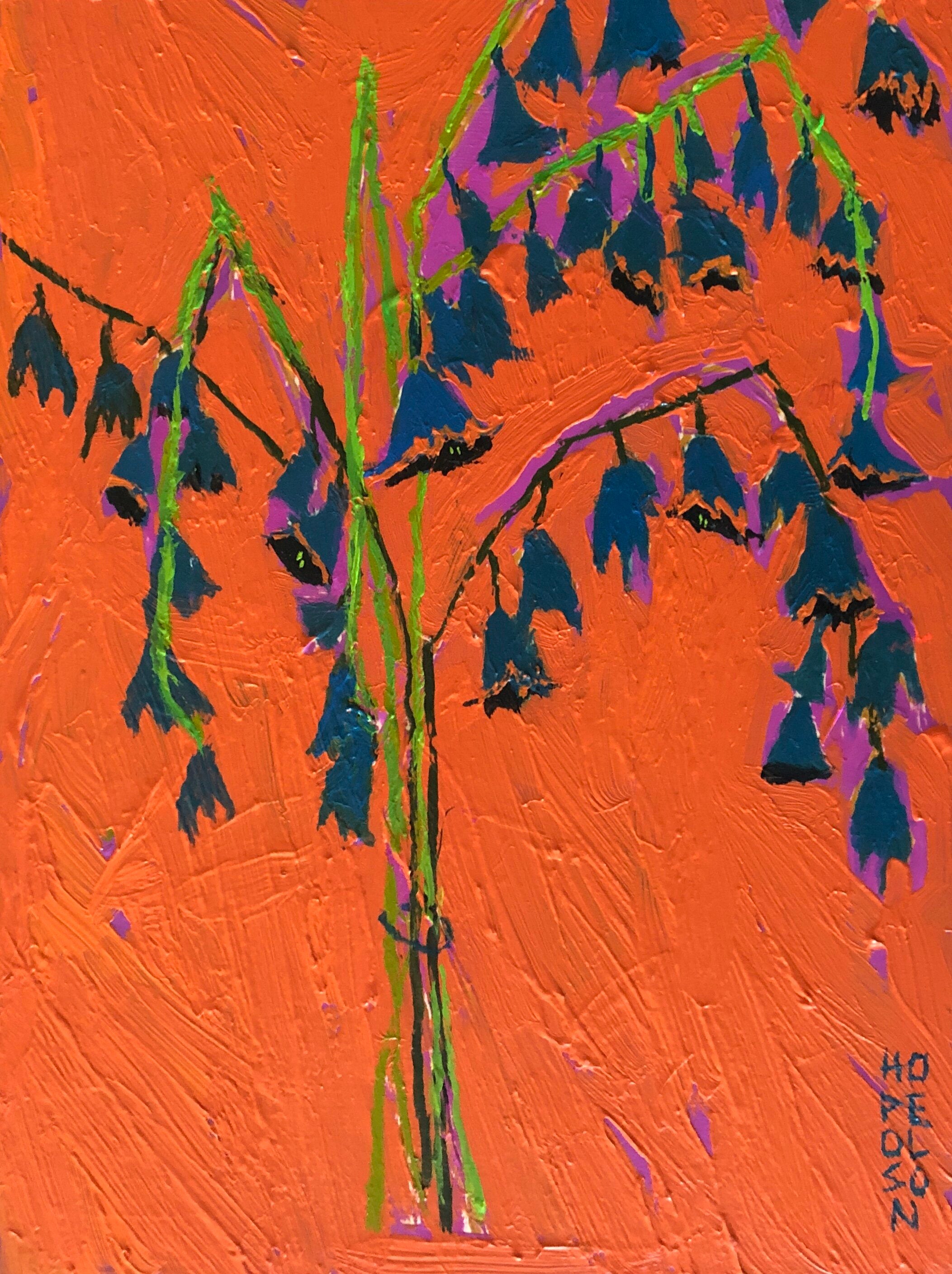 Spanish Bluebells