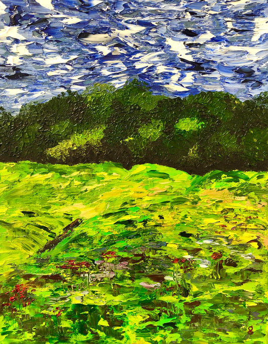 Above Juniper Beach #1