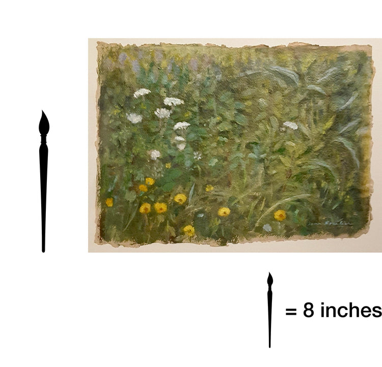 Meadows