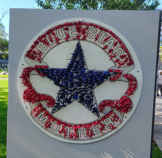 Their Service – Our Sisterhood by Blue Star Mothers