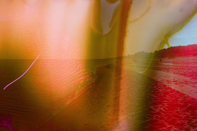 Ode to Lake Michigan - 11