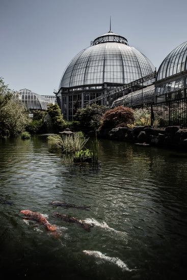 The Keepers of the Conservatory by Laura Bufanda