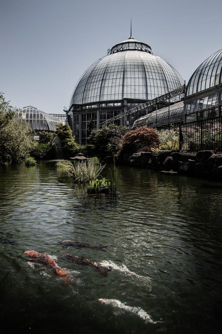 The Keepers of the Conservatory by Laura Bufanda