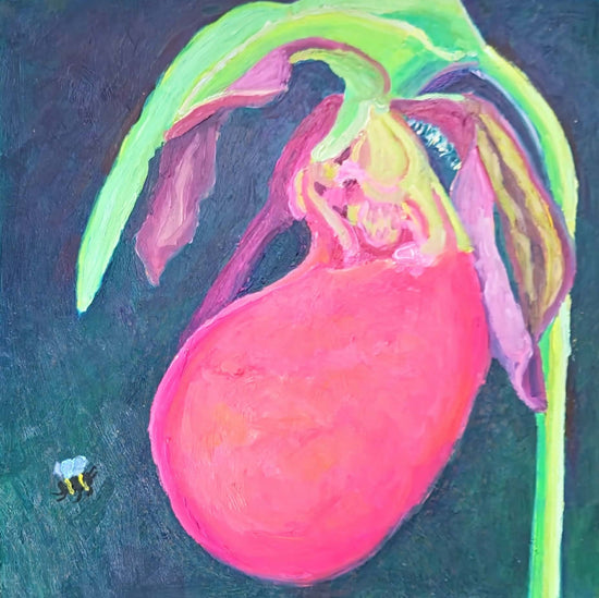 PinkLady Slipper by Loretta Rolison, Krista McConkey