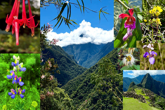The Living Inca Trail