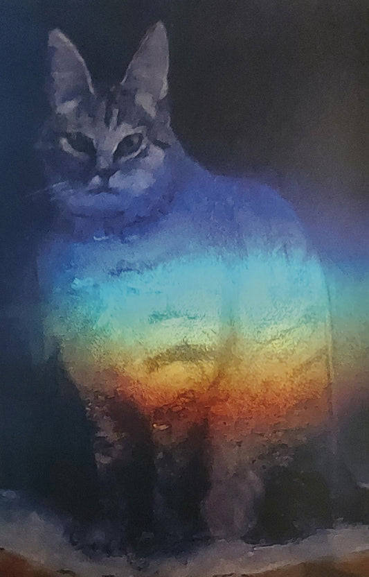 Prism Sasha