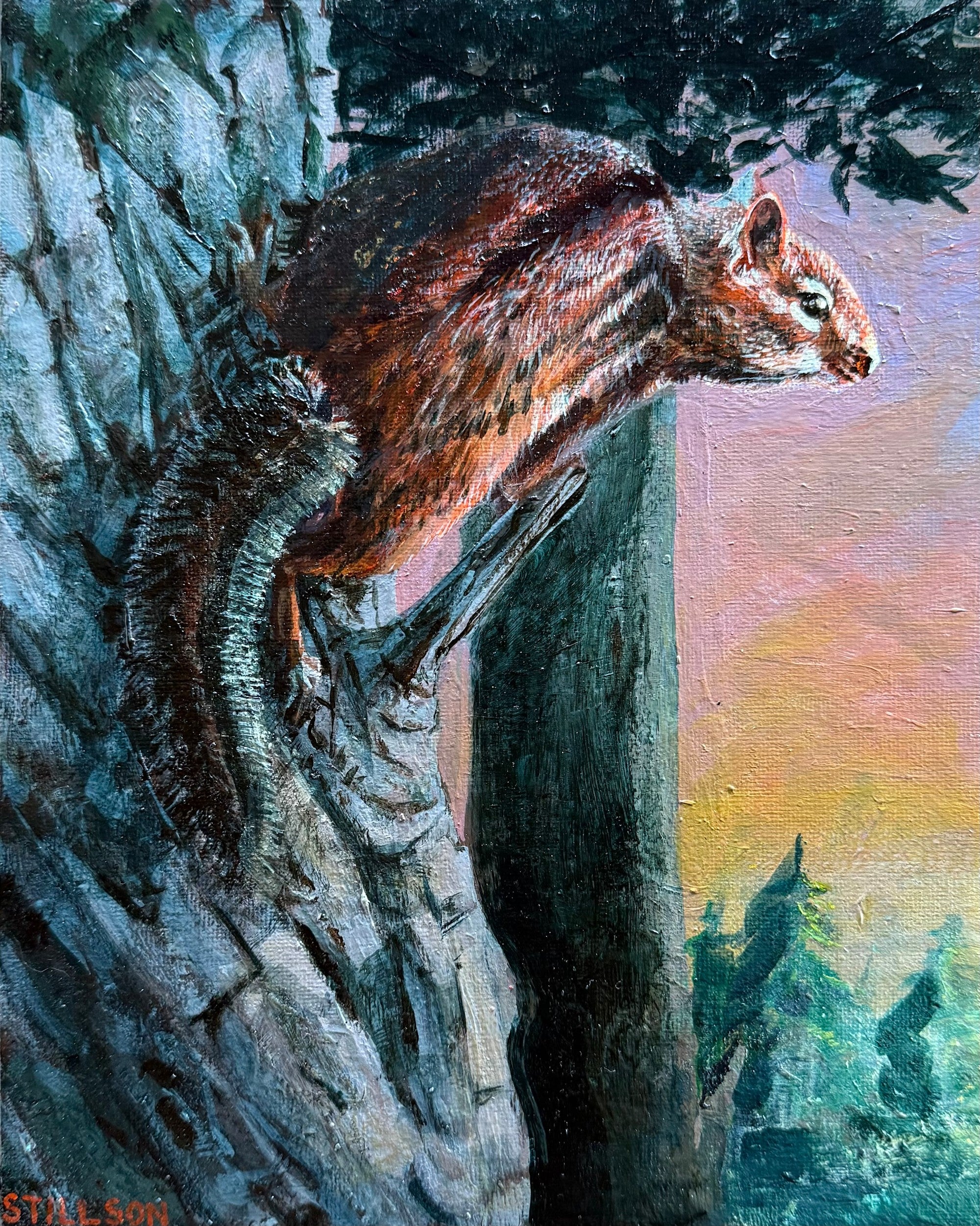 Eastern Chipmunk #1