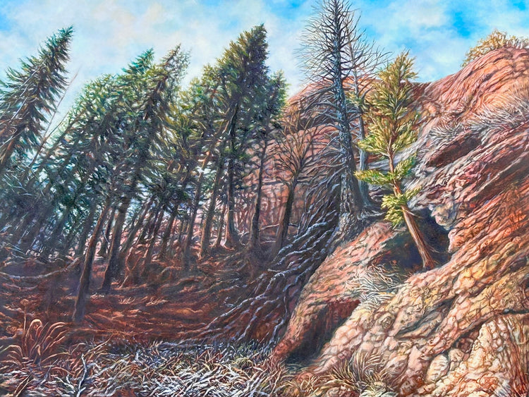 Mysterious View by Rosanne Coty