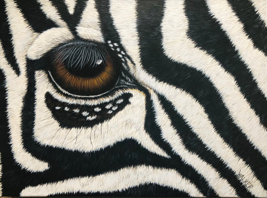 Zebra Eye