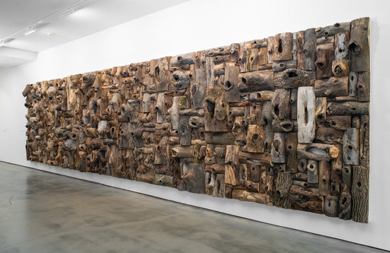 this is knot a wall but a plane of opportunity by shon walters