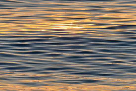The Tranquility of Water by Cheryl A. Johnson