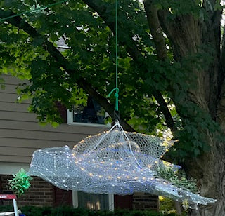PEACE DOVE Image of HOPE