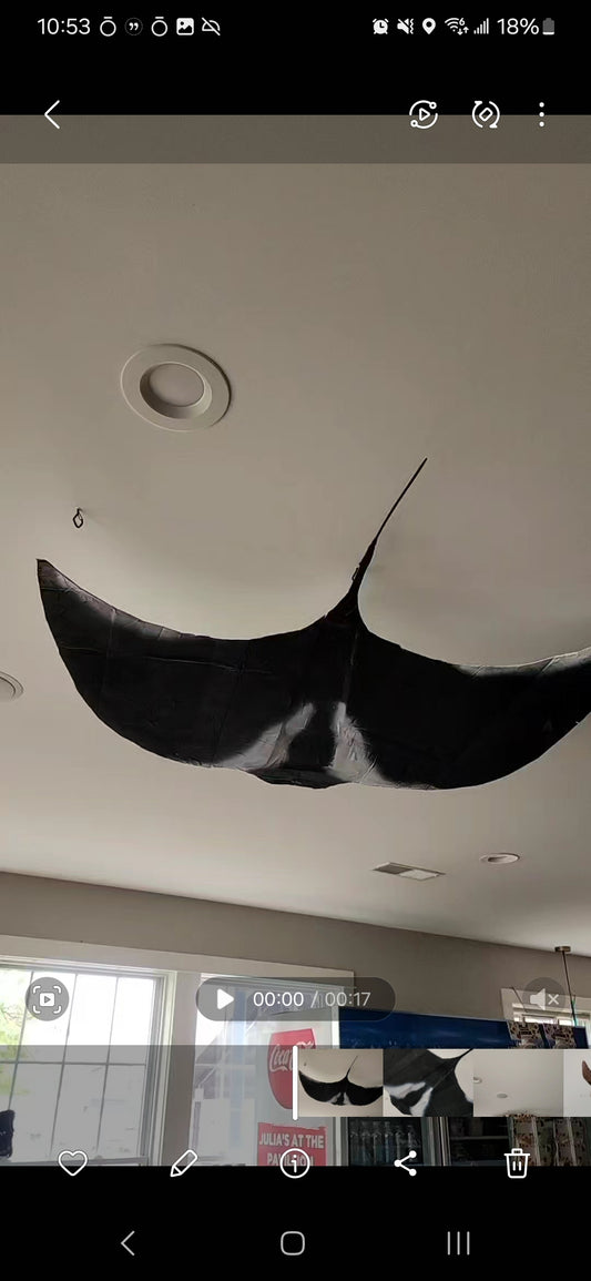 Ocean mache-manta ray by Abigayle Hopkins