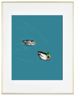 Michigan - Duck Duo