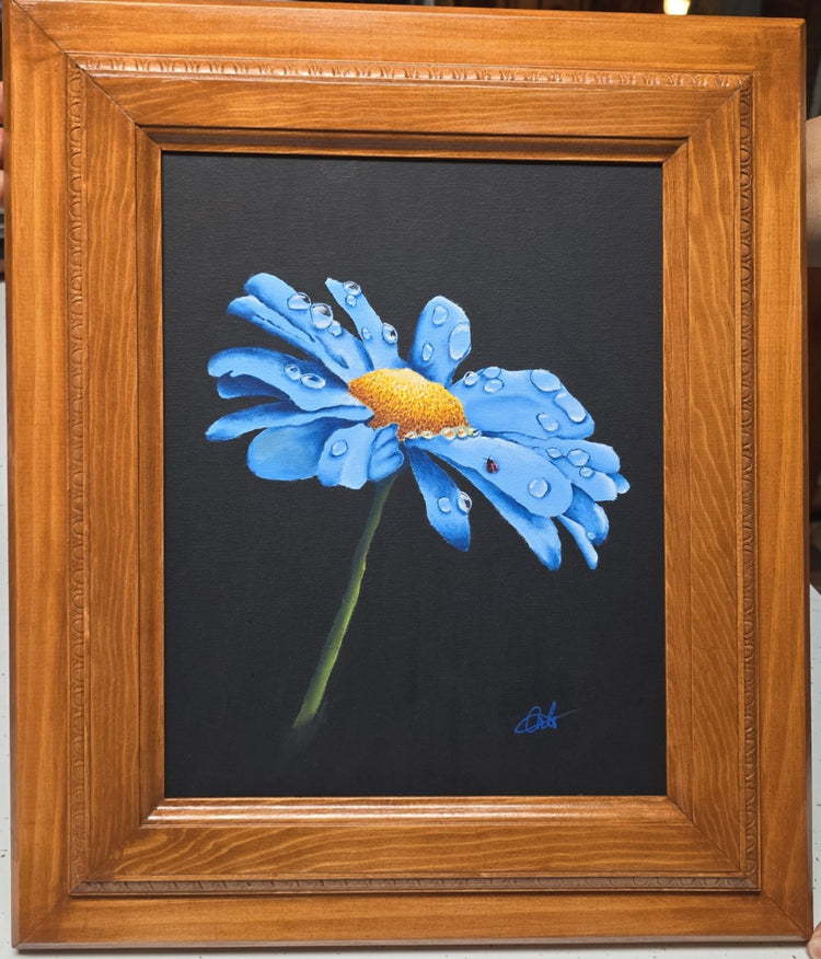 Morning dew by Abby Brennan