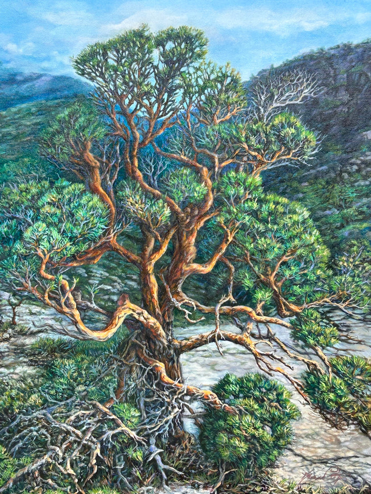 Taking Boughs by Rosanne Coty