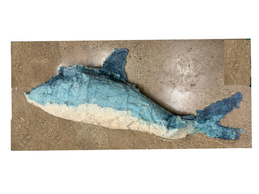 Under the Sea: Dolphin