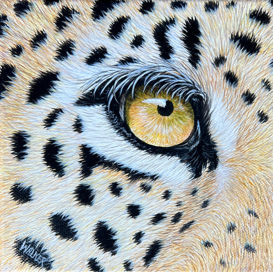 Leopard Eye