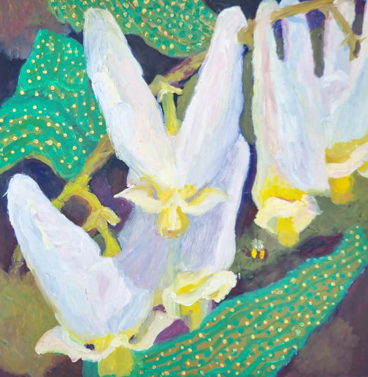 Dutchman's Breeches by Loretta Rolison, Krista McConkey