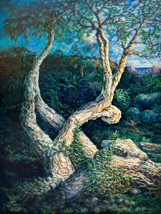 Paradiso