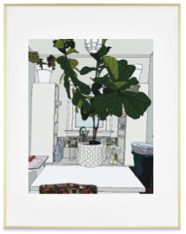 Michigan - Fiddle Fig
