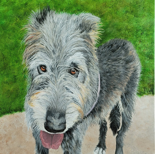 Irish Wolfhound by Brandy Gerber