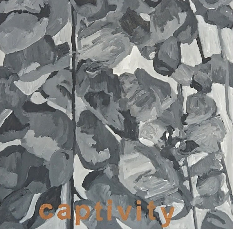 Lupines captivity by Loretta Rolison, Krista McConkey