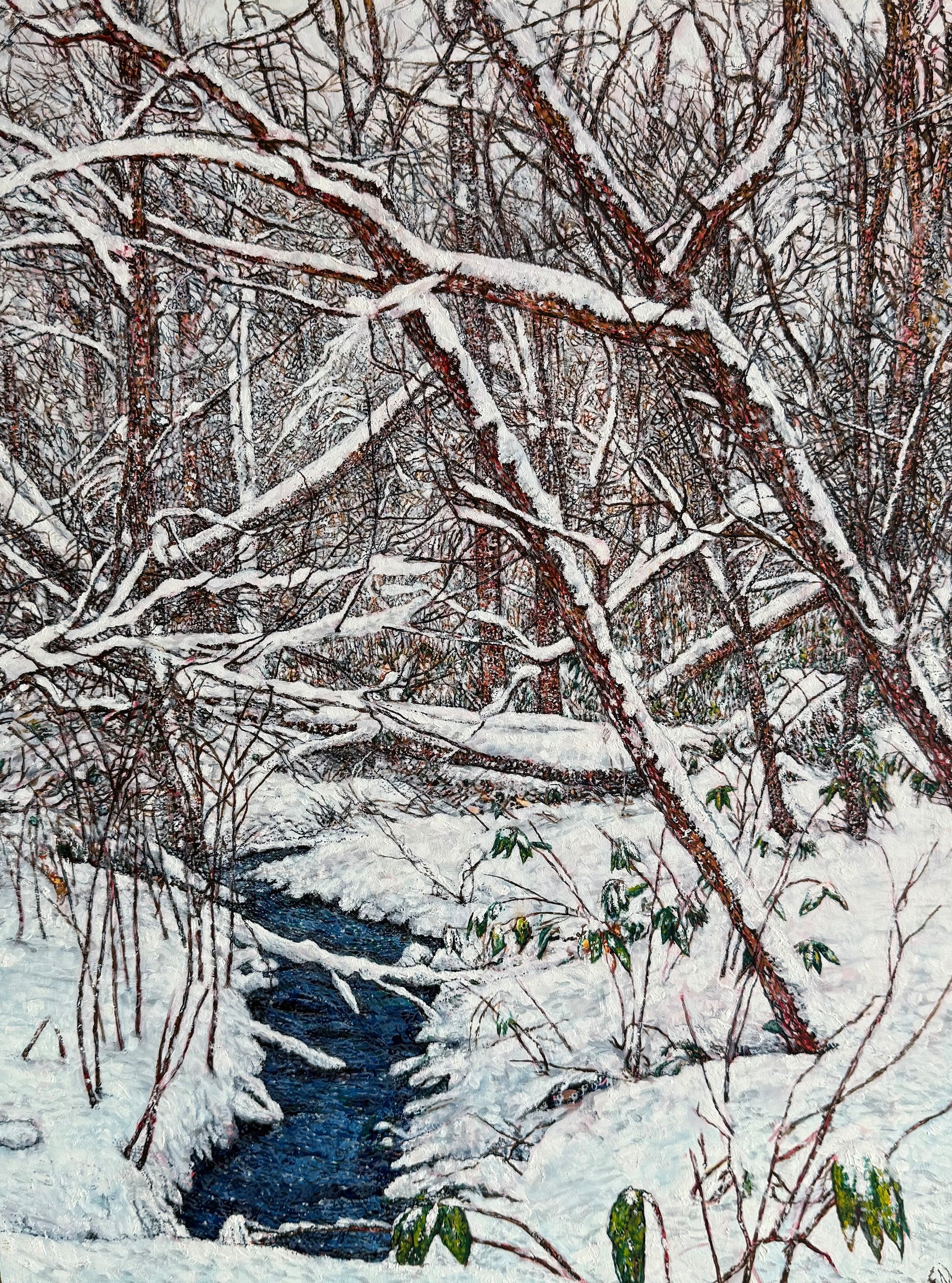 Winter Forest