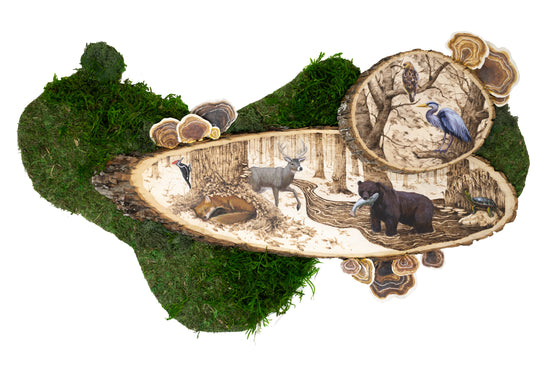 Interdependence by Gabrielle Kuelbs