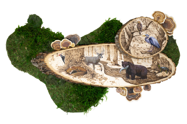 Interdependence by Gabrielle Kuelbs