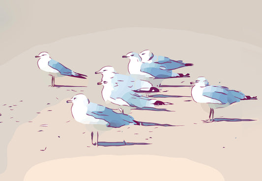 Seagulls 1455 by David Jackson