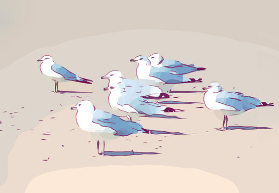 Seagulls 1455 by David Jackson