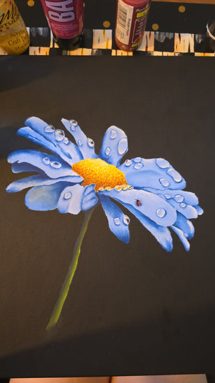 Morning dew by Abby Brennan