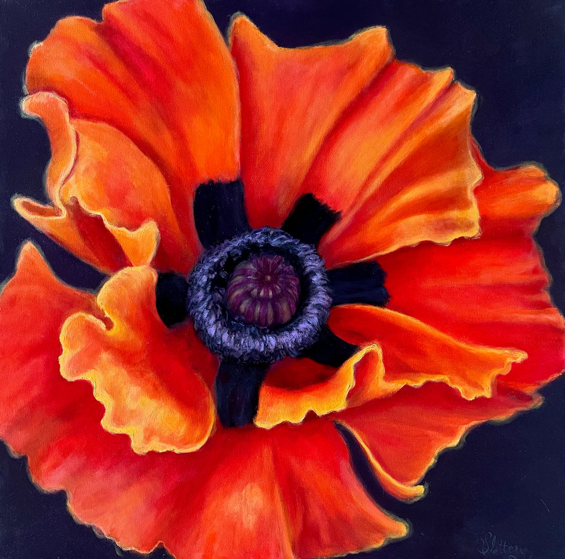 Large Orange Poppy