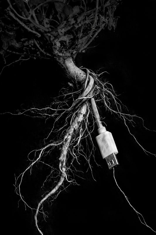 Forced Growth. by Nadal Antelmo
