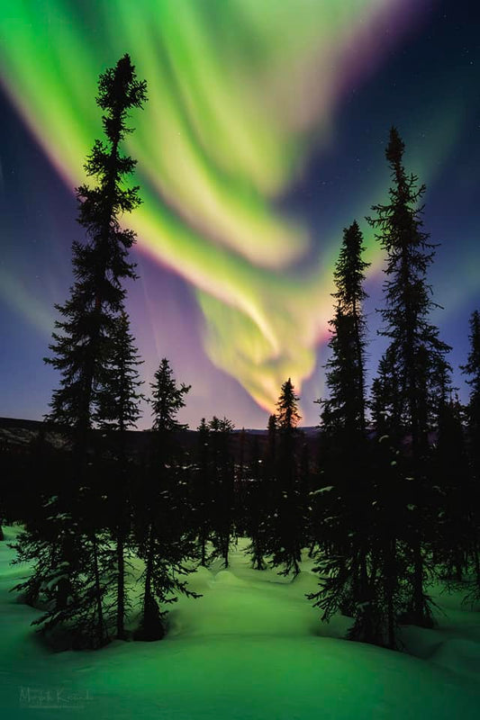 Aurora Dawn - Aurora Vortex