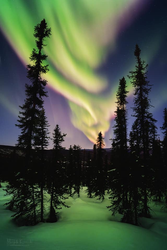 Aurora Dawn - Aurora Vortex