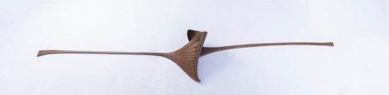 Ephemeral Flight by Carol Gorney
