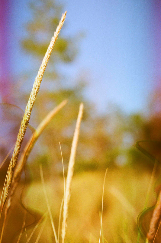 Ode to Lake Michigan -06