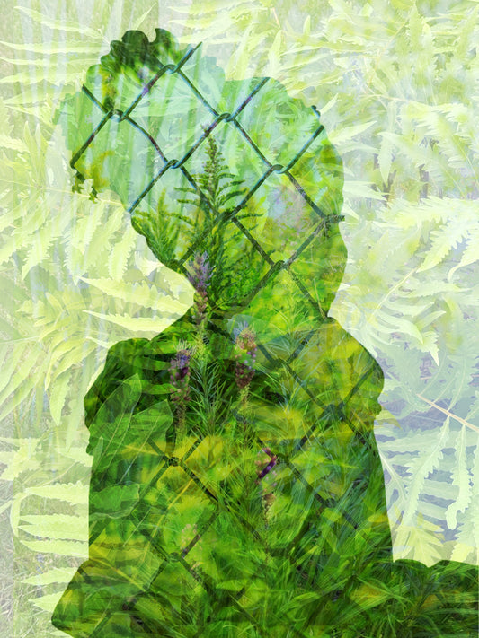 Viriditas I