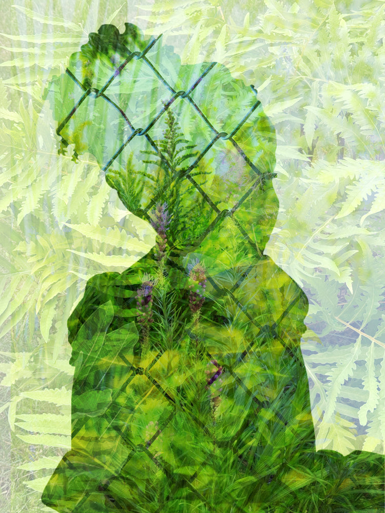 Viriditas I