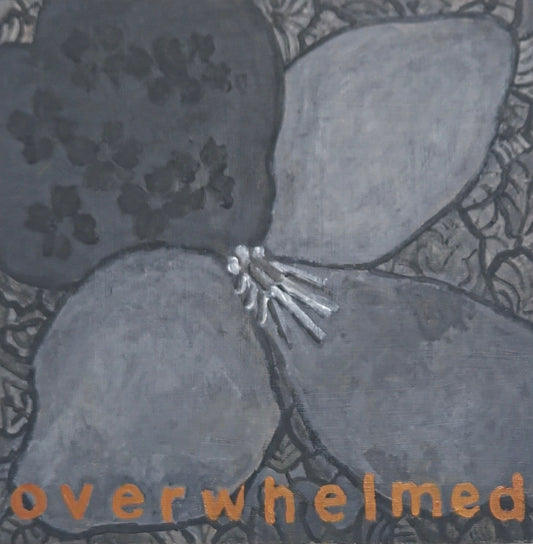 Birdsfoot Violet overwhelmed by Loretta Rolison, Krista McConkey