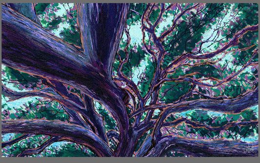 Lines of Life